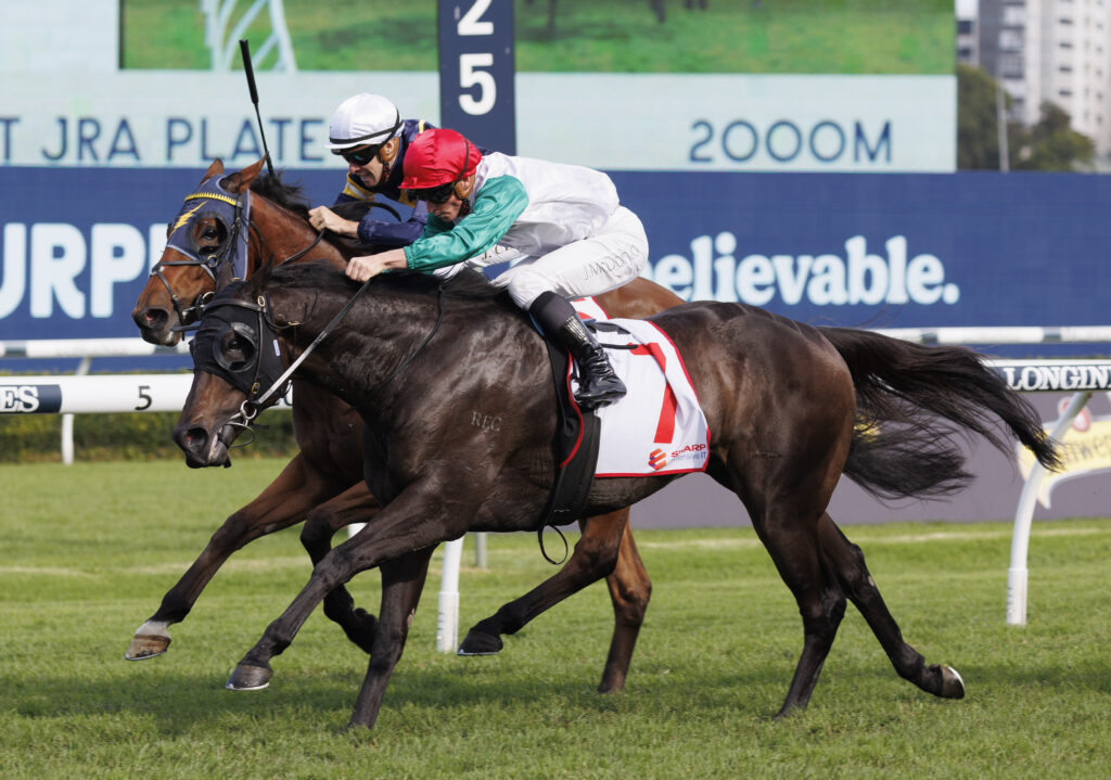 Diamil-20230415-0452 | Just Horse Racing