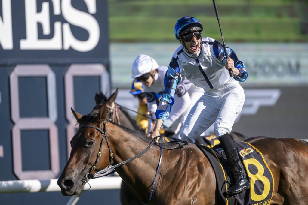 Explosive Jack 08042023 8708 | Just Horse Racing