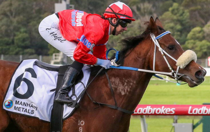 Peter Moody mare heads odds in the Proud Miss Stakes | Just Horse Racing