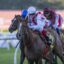 Giga Kick 150423 0175 | Just Horse Racing