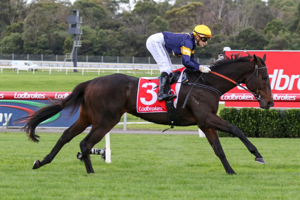 Irish Butterfly_29-04-2023_WIN_Sandown_2__247 | Just Horse Racing