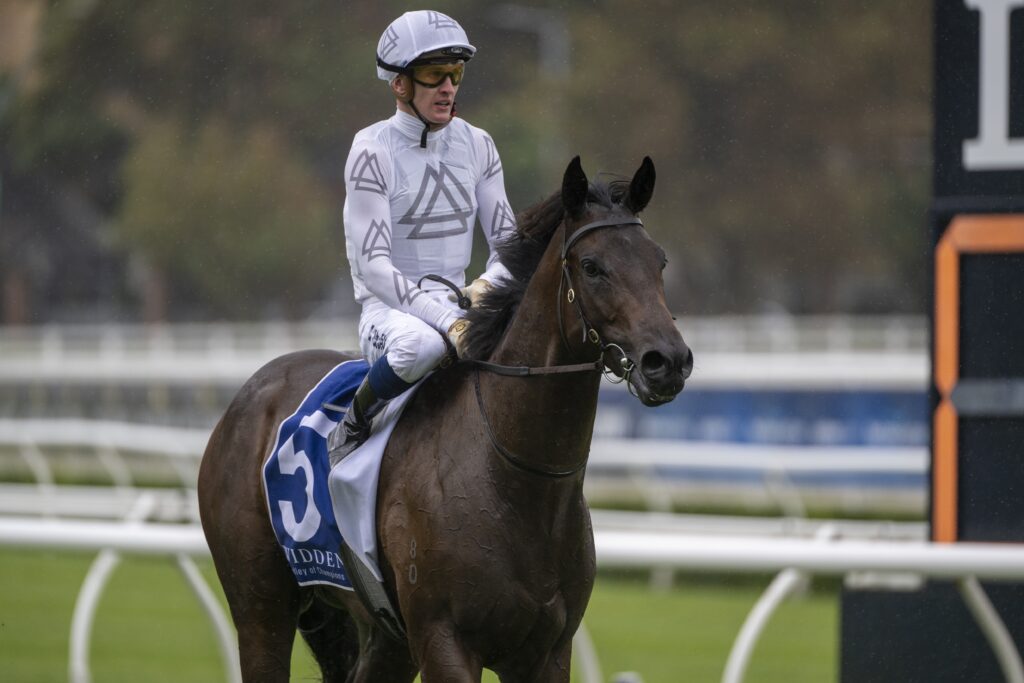 Libertad 01042023 5257 | Just Horse Racing