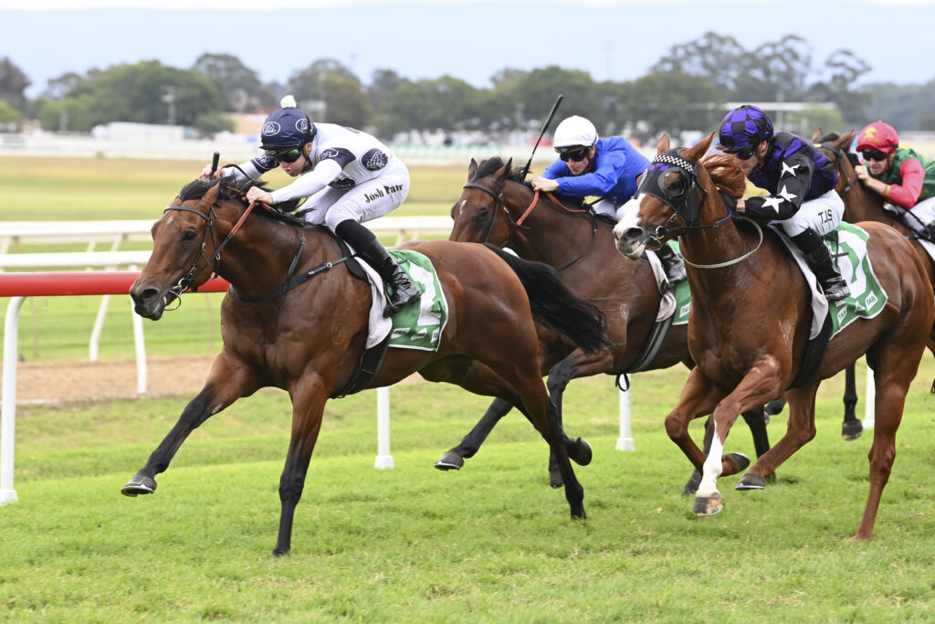 DSC_1703MALKOVICH,Z_6_HAWK_22042023__B031 | Just Horse Racing