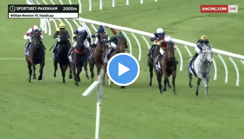 Watch 📺 Melbourne Cup favourite beaten for first time at Pakenham - Vimarsana News