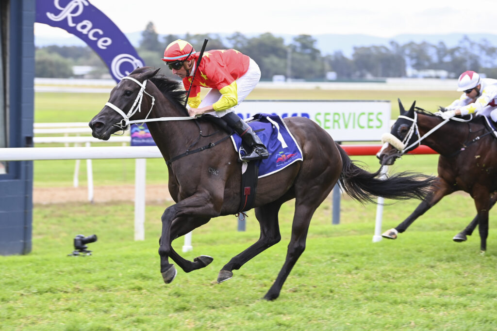 DSC_2109PRINCESS GRACE,Z_8_HAWK_22042023__B033 | Just Horse Racing