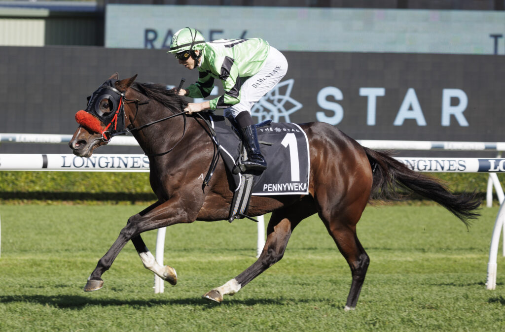 Pennyweka-20230408-8766 | Just Horse Racing