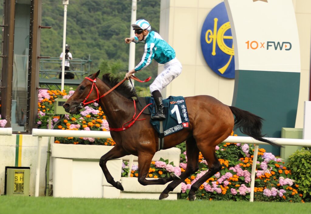 Romantic Warrior 3 | Just Horse Racing
