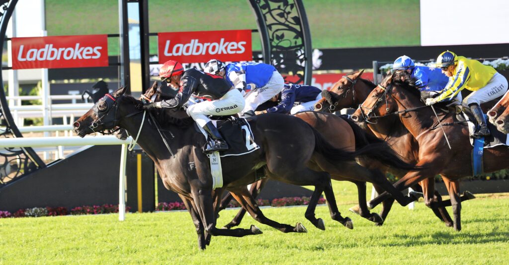 The Vowels | Just Horse Racing