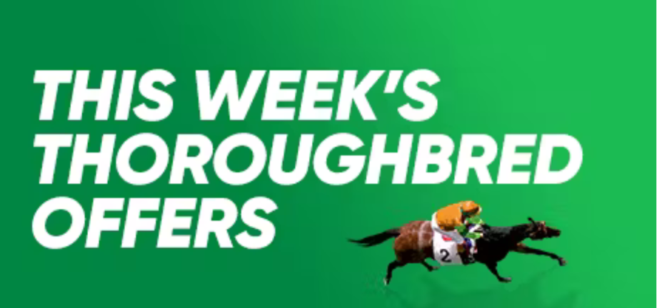 Thoroughbred Offers | Just Horse Racing