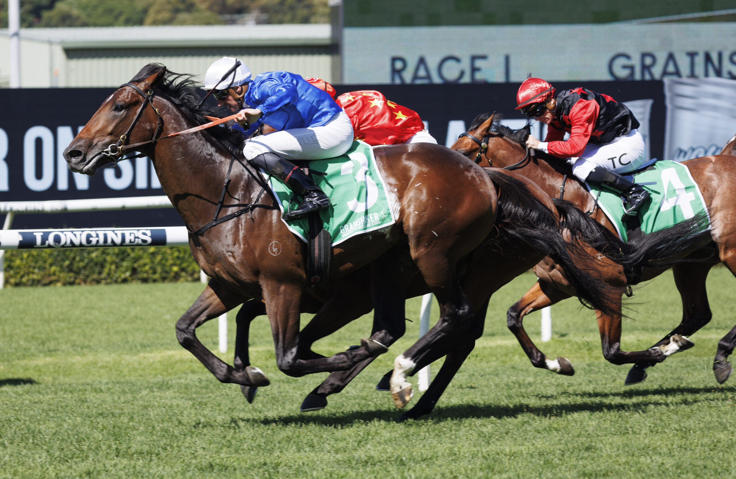Champagne Stakes 2023 – Field Preview, Odds, Horses, Speed Map and Betting Tips - Vimarsana News