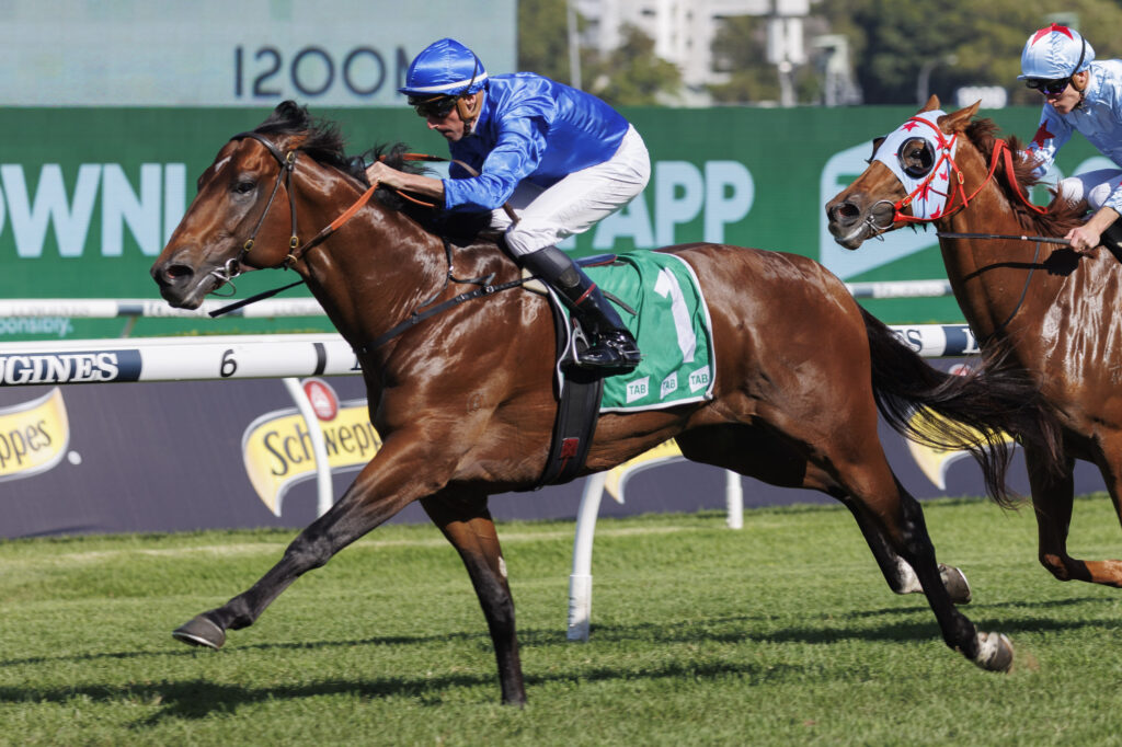 Vilana-20230415-0339 | Just Horse Racing