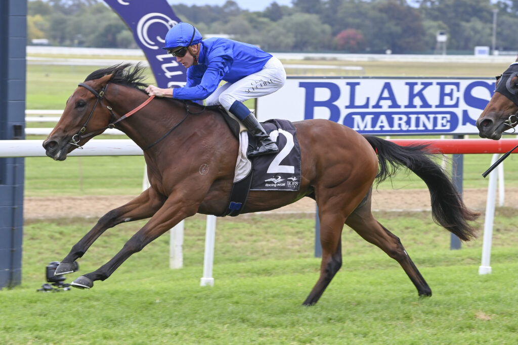 DSC_1065ZARDOZI,Z_1_HAWK_22042023__B120 | Just Horse Racing