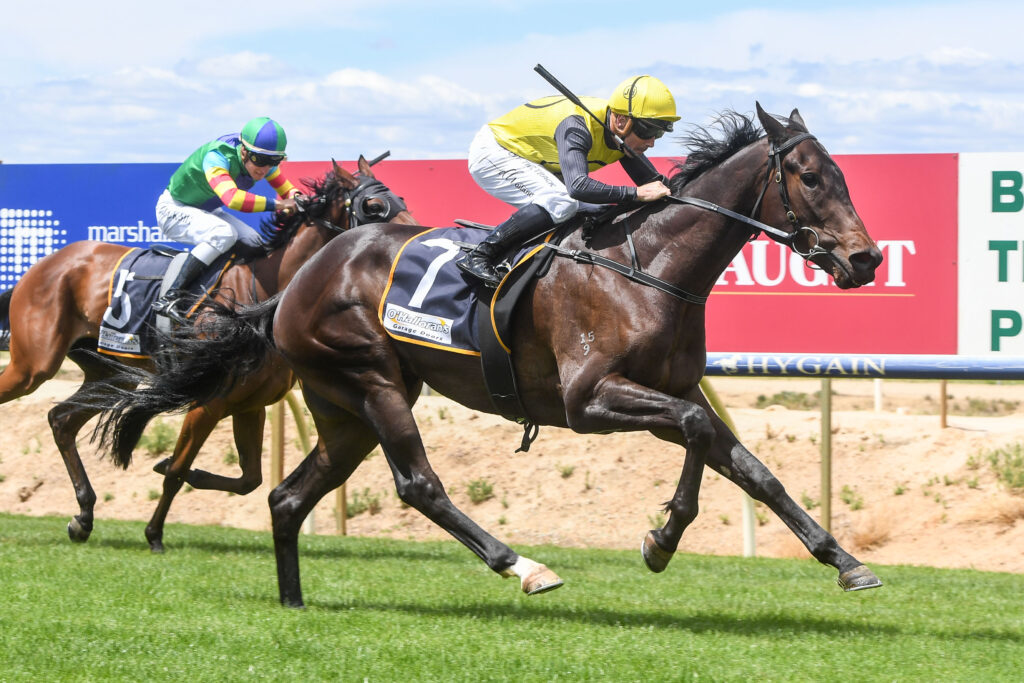 /r4/ | Just Horse Racing