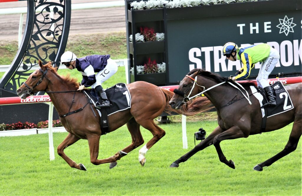 eagle farm 2904 Serpentine (race 1) | Just Horse Racing