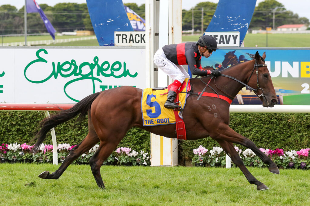 BOLD BOURBON0V9A0971 | Just Horse Racing