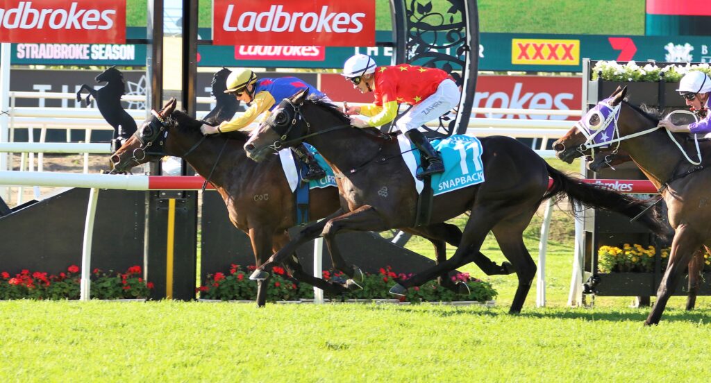 Cifrado | Just Horse Racing