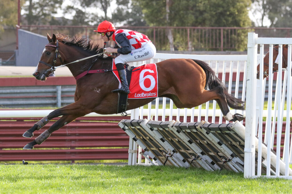 Circle The Sun 0V9A0909 | Just Horse Racing