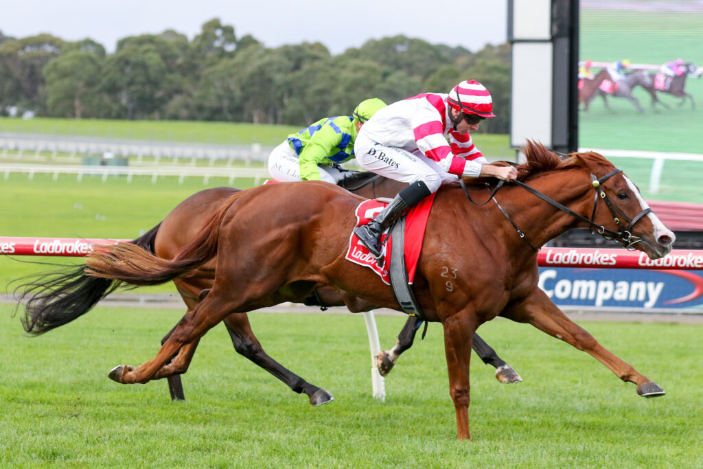 Dashing_06-05-2023_WIN_Sandown_6__692 | Just Horse Racing
