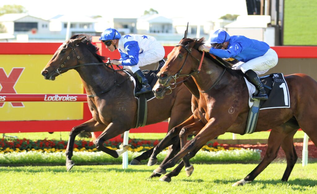 Golden Boom 2 | Just Horse Racing