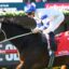 Kovalica 3 | Just Horse Racing
