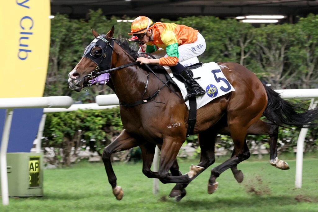 Michael Dee Starry Night | Just Horse Racing
