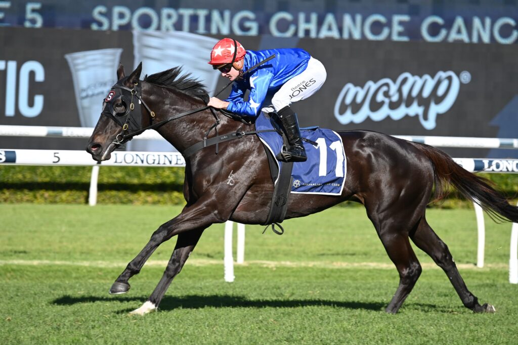 Mirra View 27052023 8934 | Just Horse Racing