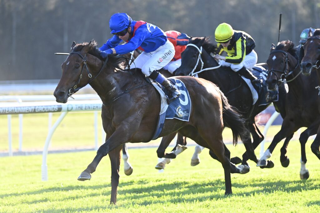 Palmetto 06052023 5845 | Just Horse Racing