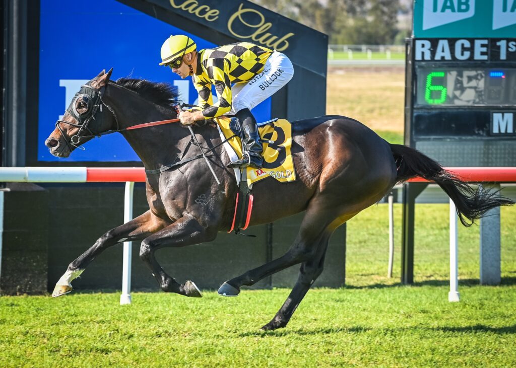R6 Akasawa (4) | Just Horse Racing