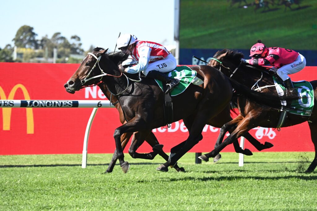 Sister Moon 20052023 7393 | Just Horse Racing