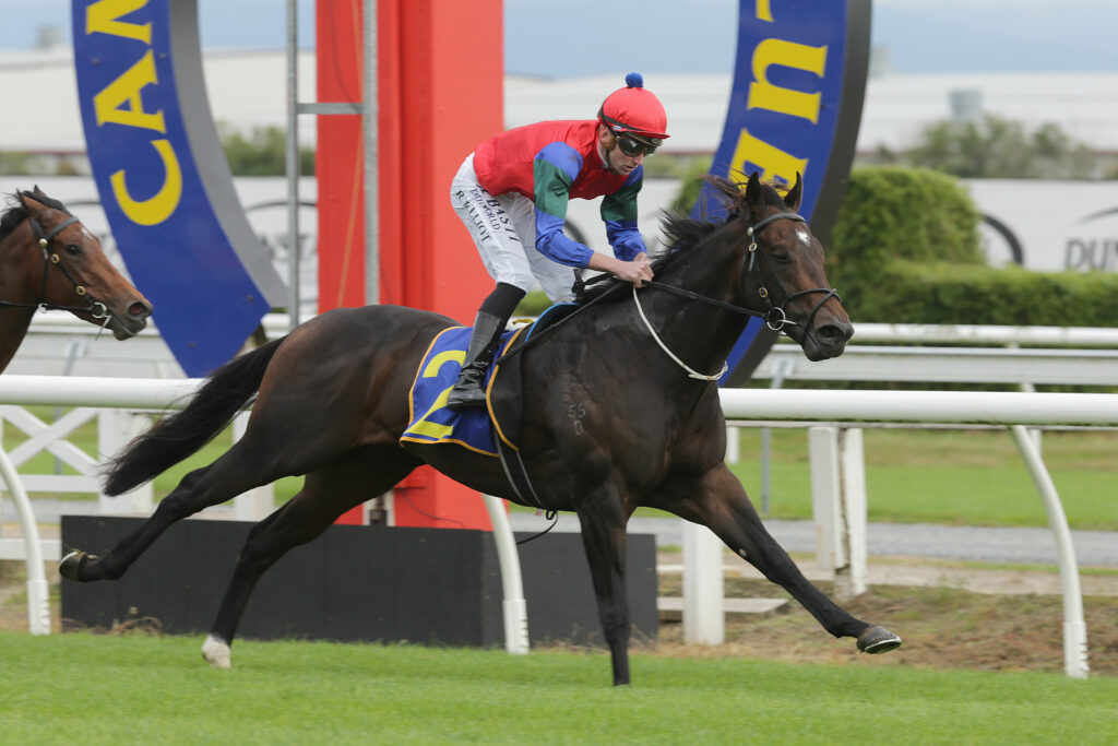 Solidify_w_0016 | Just Horse Racing