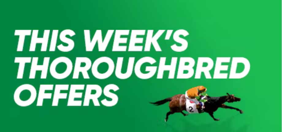 Thoroughbred Offers | Just Horse Racing