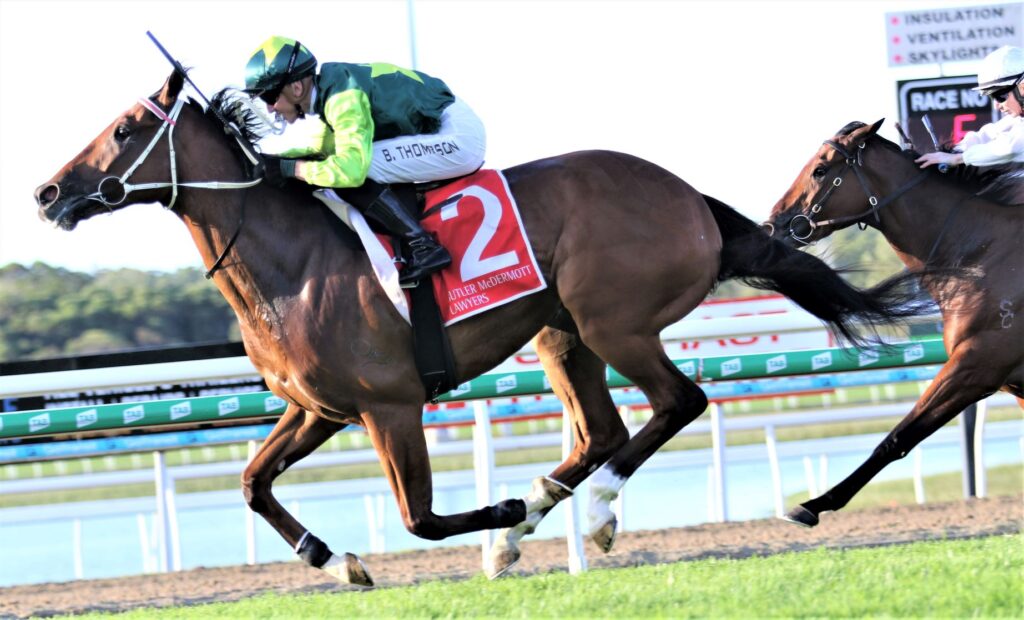 Yellow brick sunshine coast 5aaaaa | Just Horse Racing