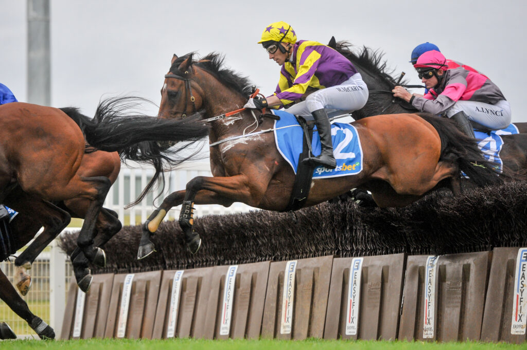 Sandown chase to suit Riding High