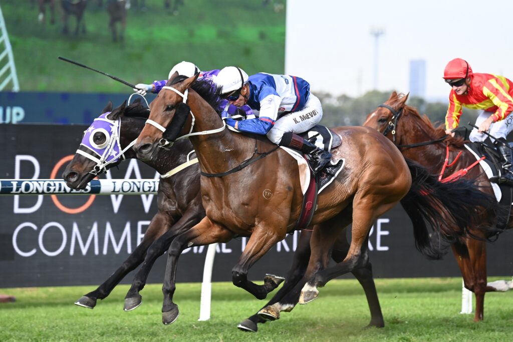 Al Aabir 03062023 0965 | Just Horse Racing