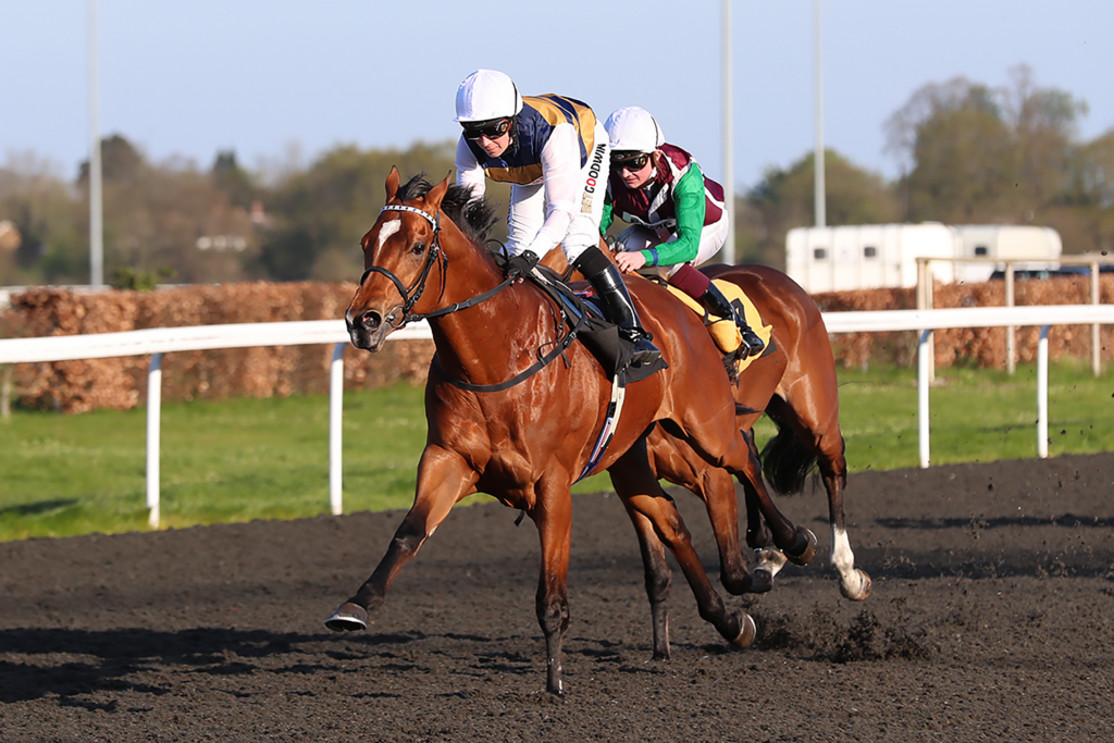 Docklands-Kempton-Win-Eased-Down-Profile | Just Horse Racing
