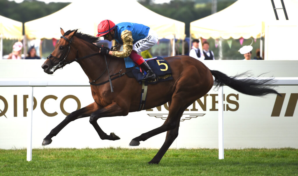 Frankie2 | Just Horse Racing