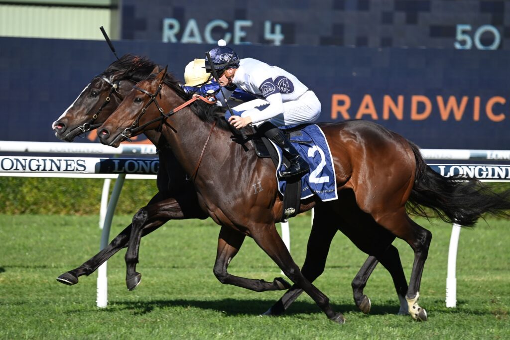 Iowna Merc 10062023 2034 | Just Horse Racing