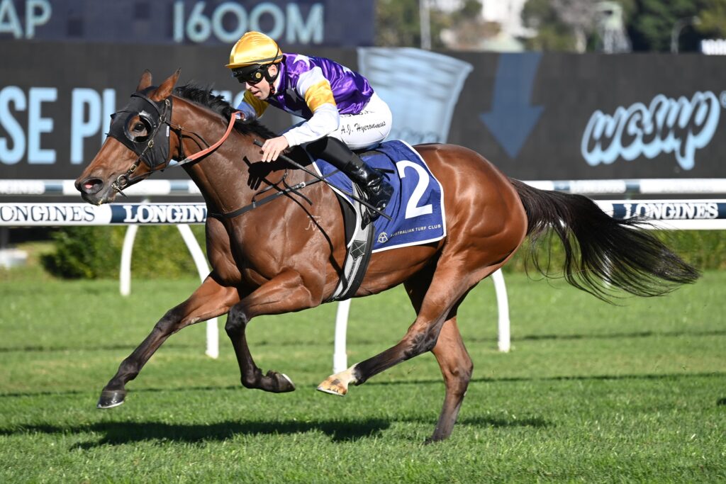 Ita 10062023 2167 | Just Horse Racing
