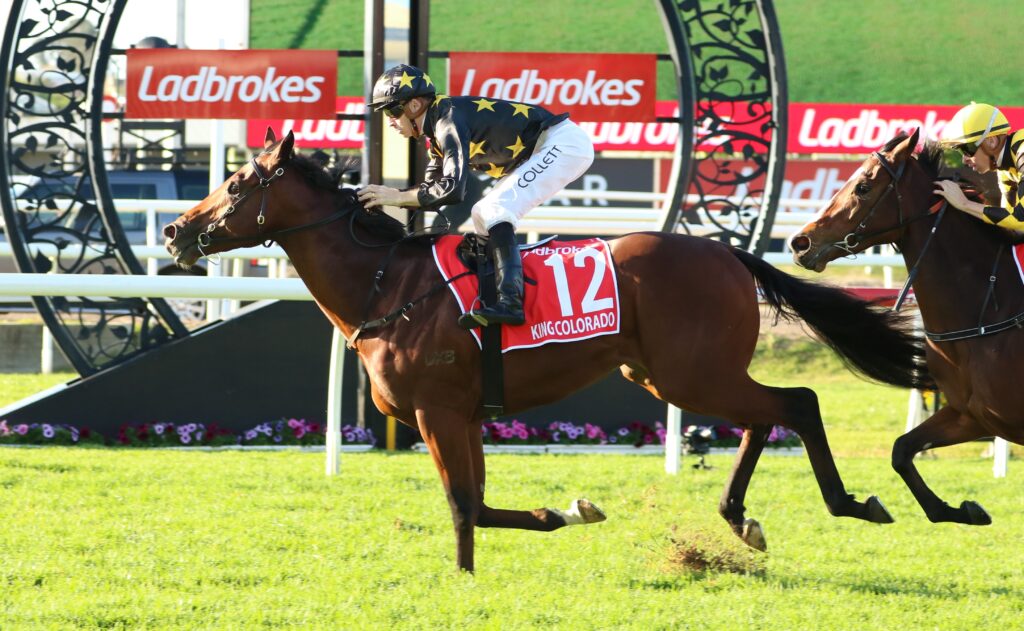 King Colorado | Just Horse Racing