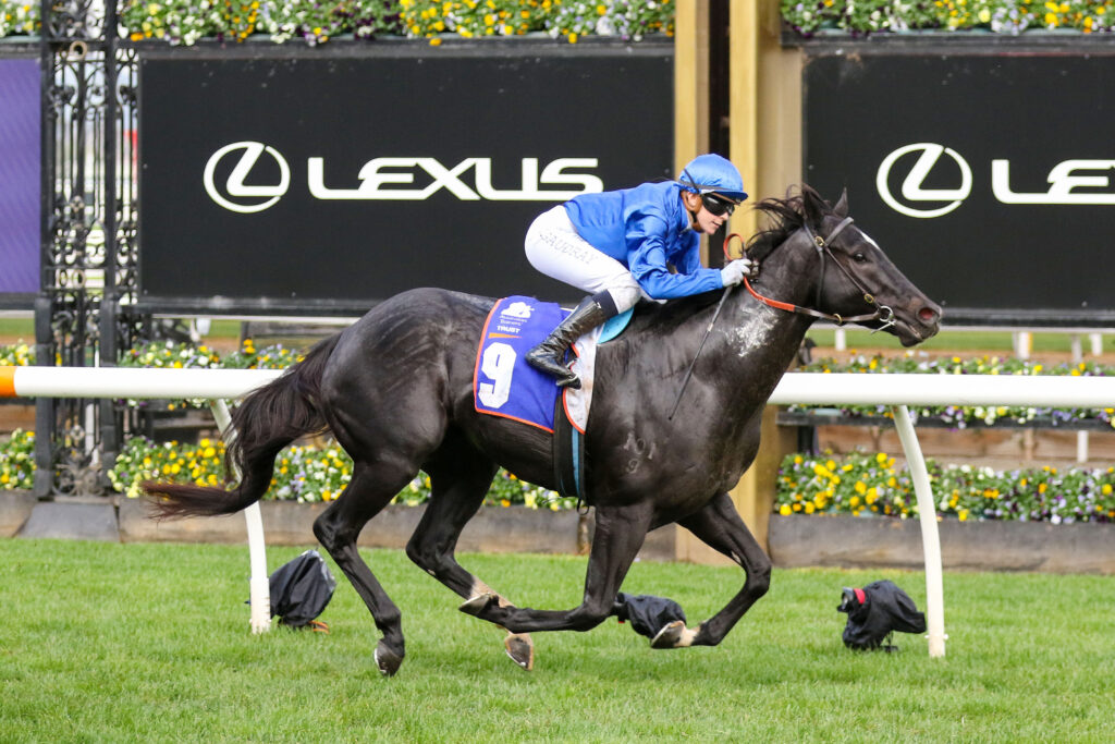 Legio Ten_03-06-2023_WIN_Flemington_4__705 | Just Horse Racing