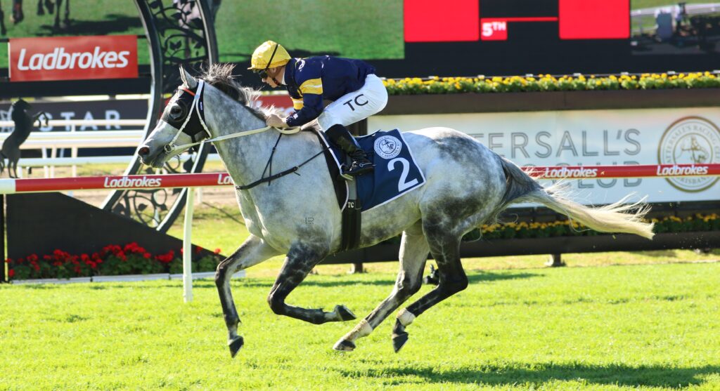 Luncies 2 | Just Horse Racing