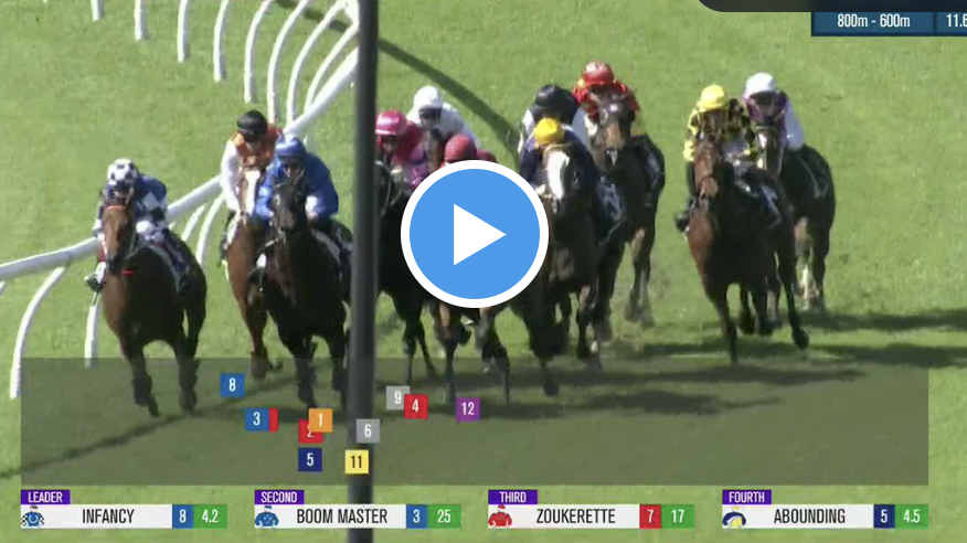 Oxlade Stakes results and replay â€" 2023 - Vimarsana News