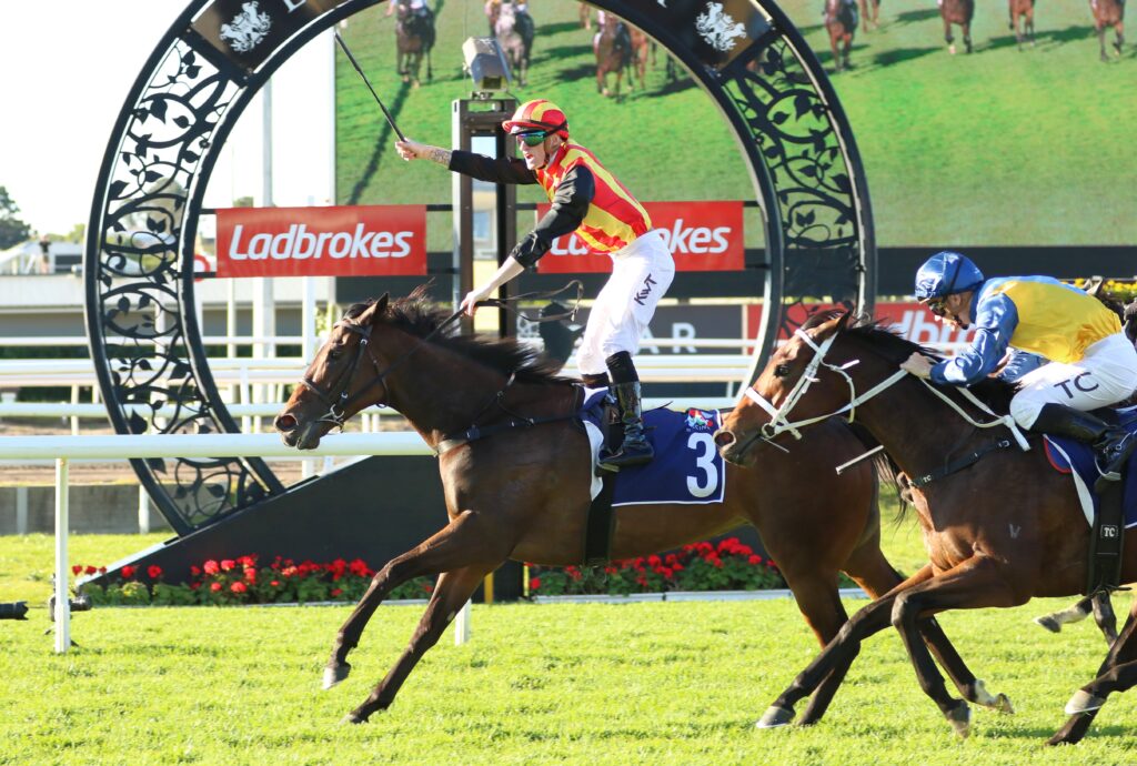 Palaisipan | Just Horse Racing
