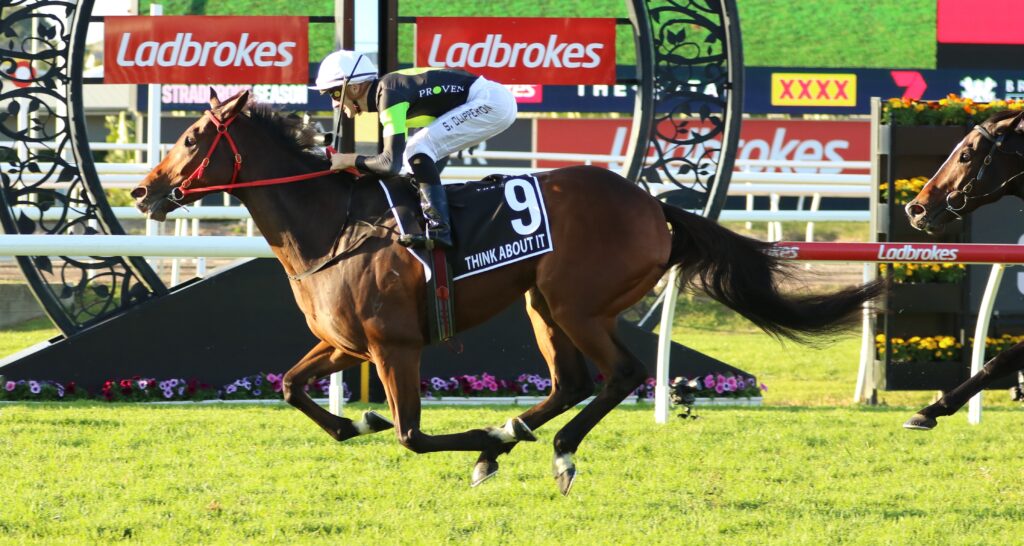 Think About It | Just Horse Racing