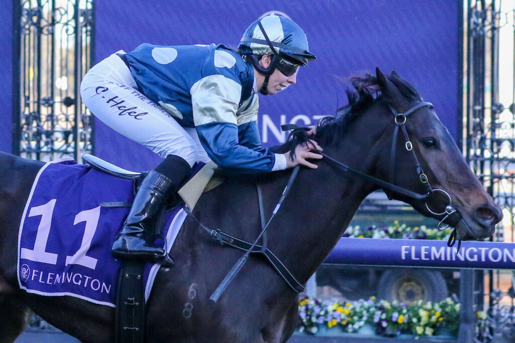Unusual Culture_17-06-2023_WIN_Flemington_7__803 | Just Horse Racing