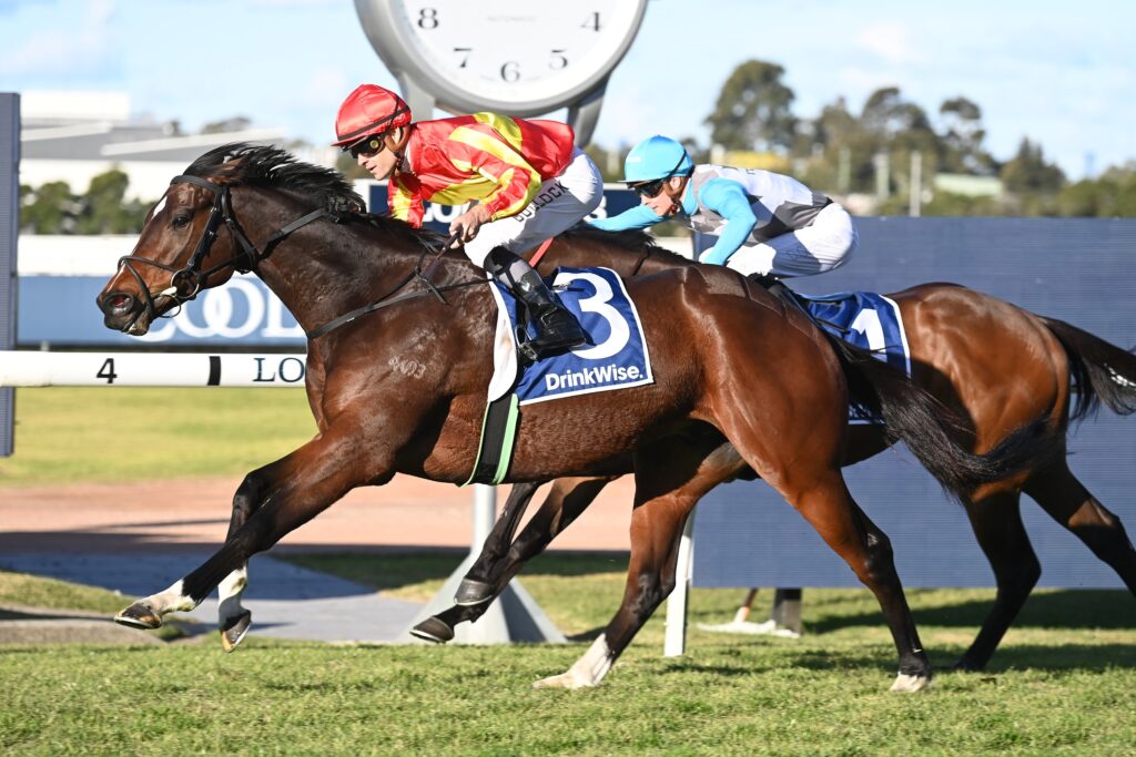 Attractable 01072023 6782 | Just Horse Racing