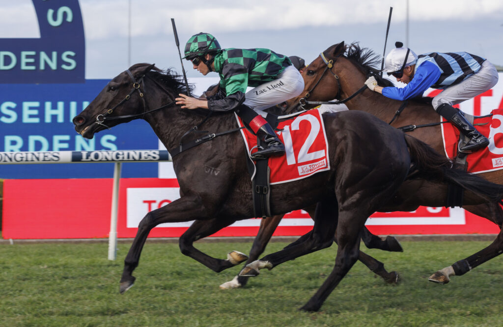 BarbiesFox-20230722-2639 | Just Horse Racing