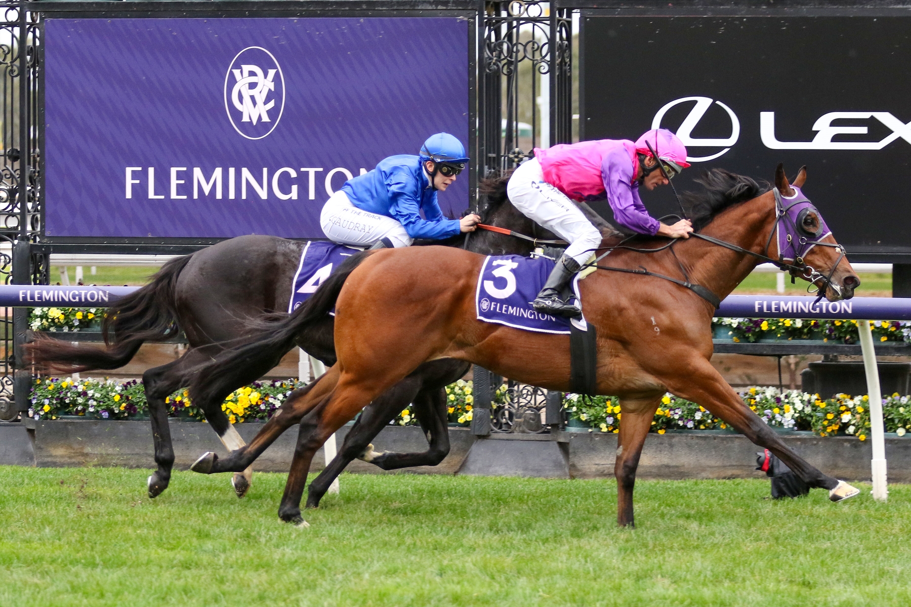 Shawn Mathrick has little Cause For Concern | Just Horse Racing