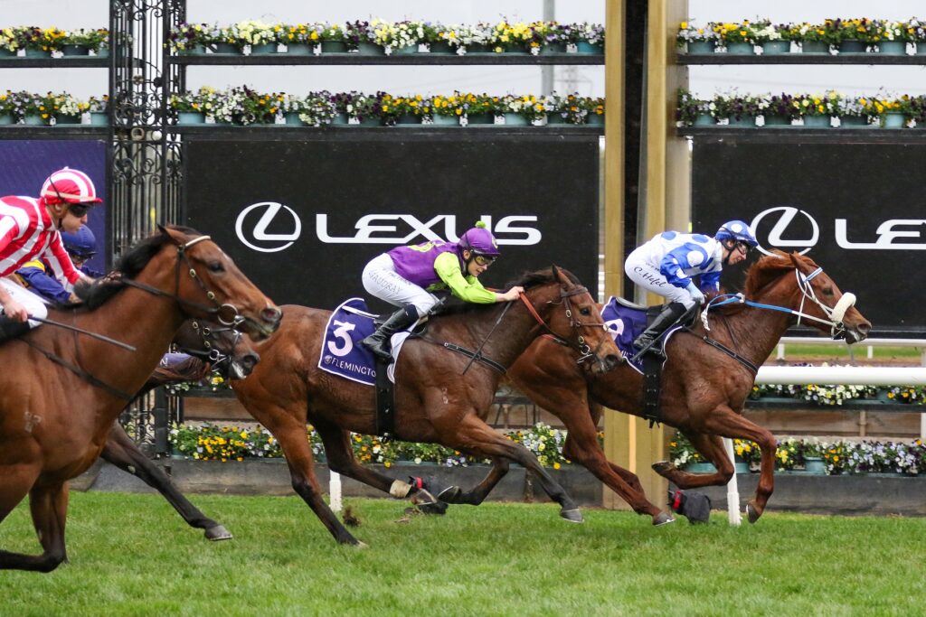 Dance To Dubai_15-07-2023_WIN_Flemington_7__767 | Just Horse Racing