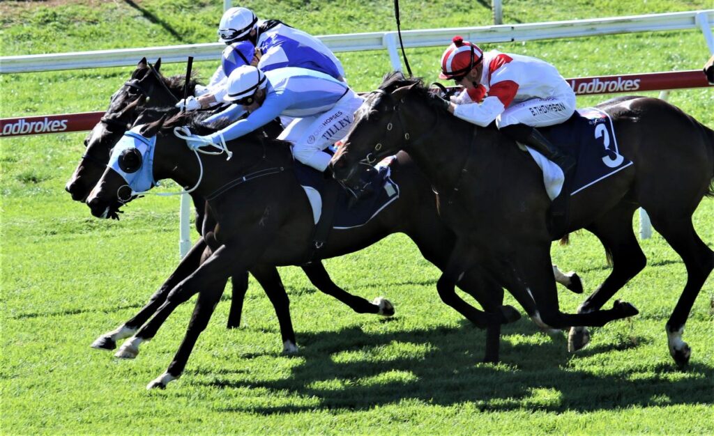 Eagle Farm race 1 Shamedy 1a | Just Horse Racing